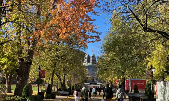 John Robson: The Cascading Chain of Policy Disasters Hitting Universities