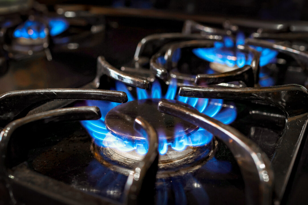 Appeals Court Sets Aside Biden-Era Energy Standards for Stoves, Ovens