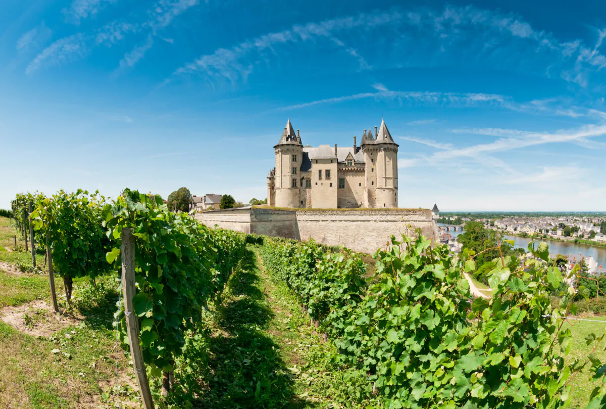 Most Loire Valley red wines were not aged in small barrels. (Alexander Demyanenko/Shutterstock)