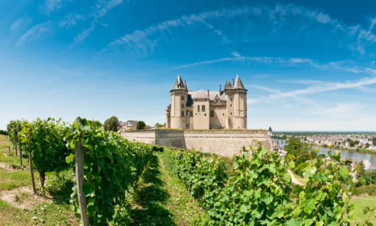 Loire Valley Reds