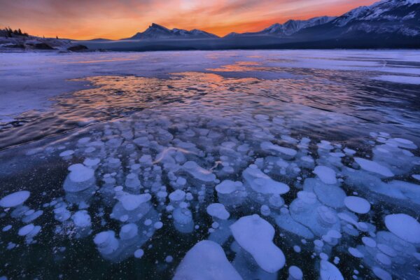 Epoch Times Photo