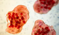 Florida Confirms Five Cases of Measles, Cases Now Reported in 11 States