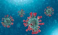 Chinese Experts Publish Paper Citing Development of ‘100 Percent Mortality’ Virus in Mice