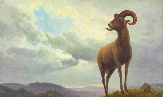 Bierstadt's Beasts