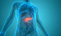 Enzymes Engineer a Better Digestive System 
