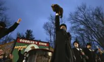Punxsutawney Phil Predicts Early Spring at Groundhog Day Festivities
