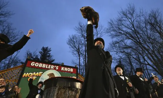 Punxsutawney Phil Predicts Early Spring at Groundhog Day Festivities