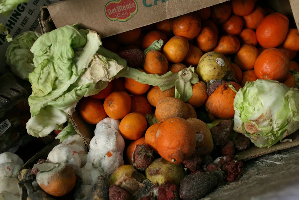 A box of food scraps that will be composted sits at the Norcal Waste Systems transfer station in San Francisco on April 21, 2009. (Justin Sullivan/Getty Images)