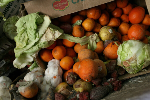 Food Waste Diversion Efforts Not as Effective as Hoped, UCSD Study Finds