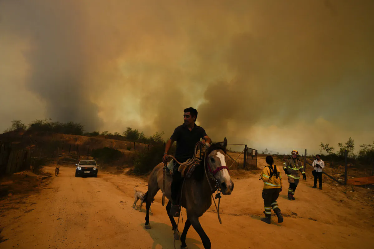 A resident flees an encroaching forest fire in Vina del Mar, Chile, on Feb. 3, 2024. (Esteban Felix/AP Photo)