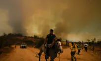 Forest Fires Rage On in Central Chile, Killing at Least 112