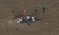 Goose Found in Flight Control of Medical Helicopter That Crashed in Oklahoma, Killing 3