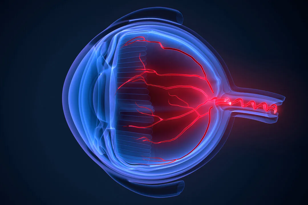 (MicroScience/Shutterstock)