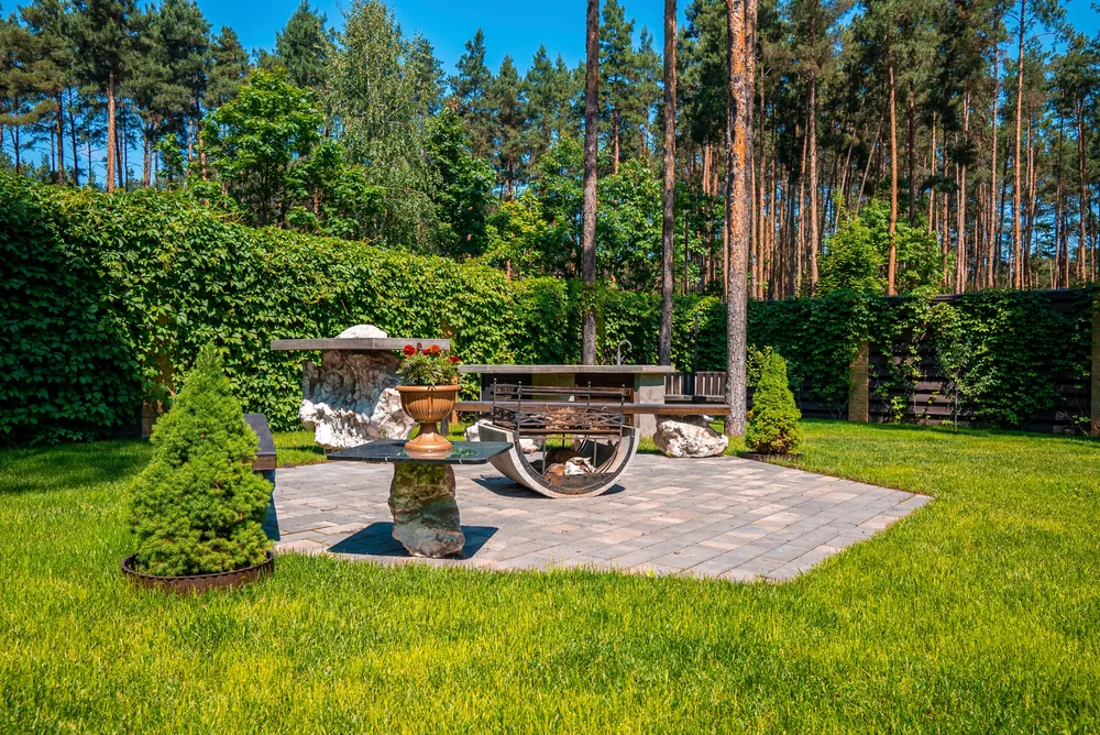 Evergreens improve air quality and can help reduce home heating and cooling bills by acting as a windbreak in the winter and providing shade in the summer. (Pandora Pictures/Shutterstock)