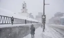 Emergency Declared in Cape Breton as Snowstorm Leaves Much of Nova Scotia Paralyzed