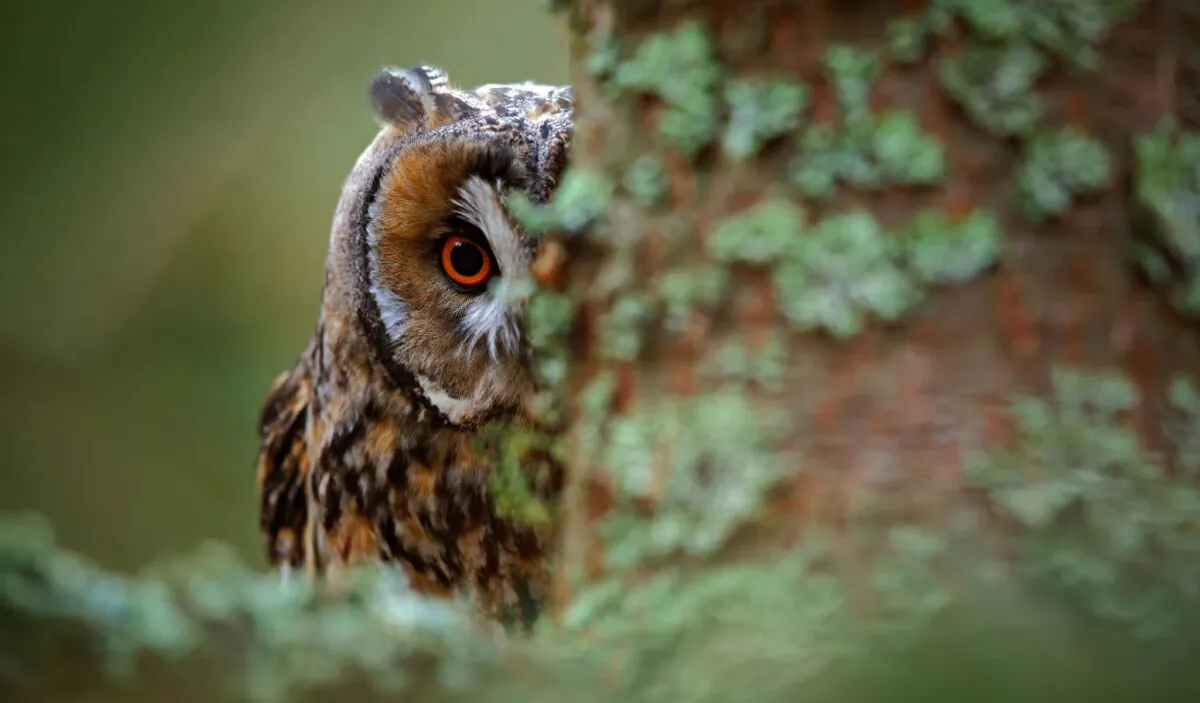 (Ondrej Prosicky/Shutterstock)