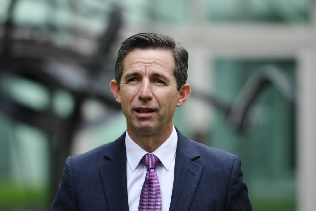 Long-Serving Senator Simon Birmingham Calls Time on Political Career