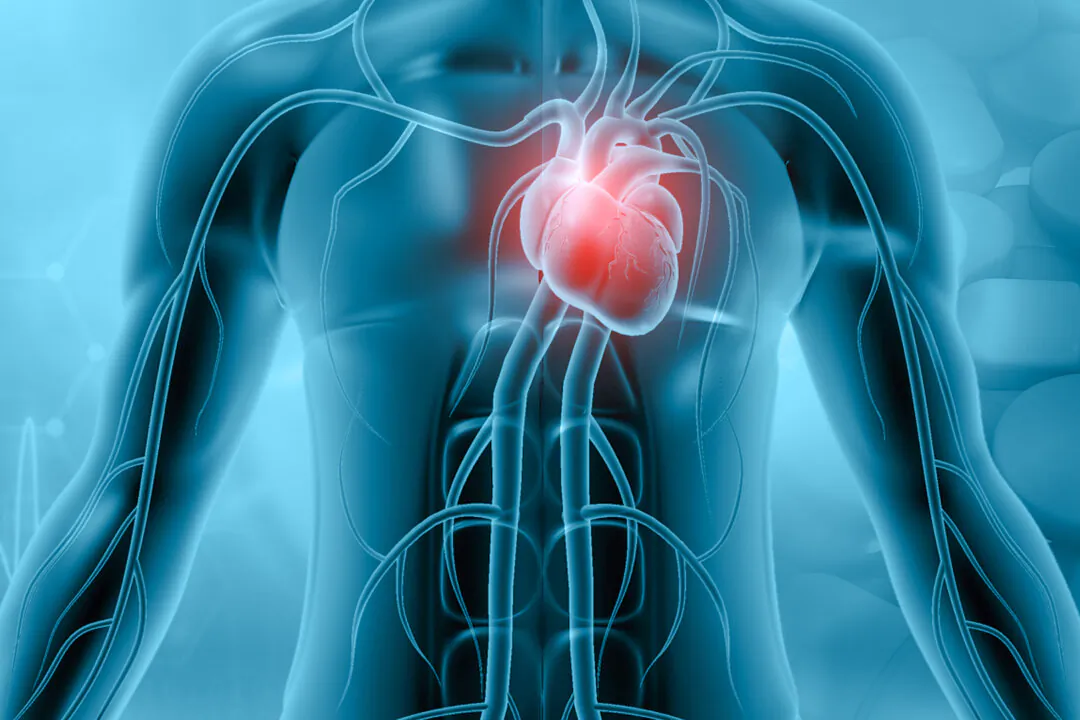 3D illustration of a heart in transplant in a human body. (Explode/Shutterstock)