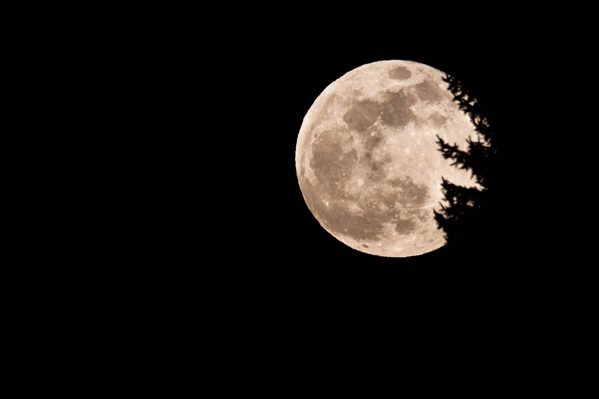 Epoch Times Photo
