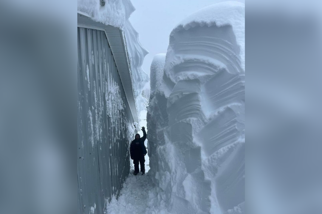 Nova Scotia Residents Digging Out After Storm Drops 150 cm of Snow ...