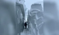 Nova Scotia Residents Digging Out After Storm Drops 150 cm of Snow