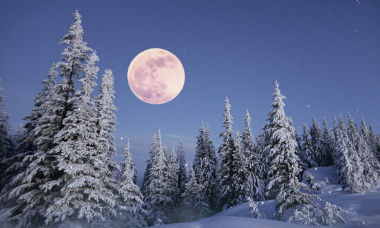 Full 'Snow Moon' in February Will Be a 'Micro Moon'—And It's the Exact Opposite of a Super Moon