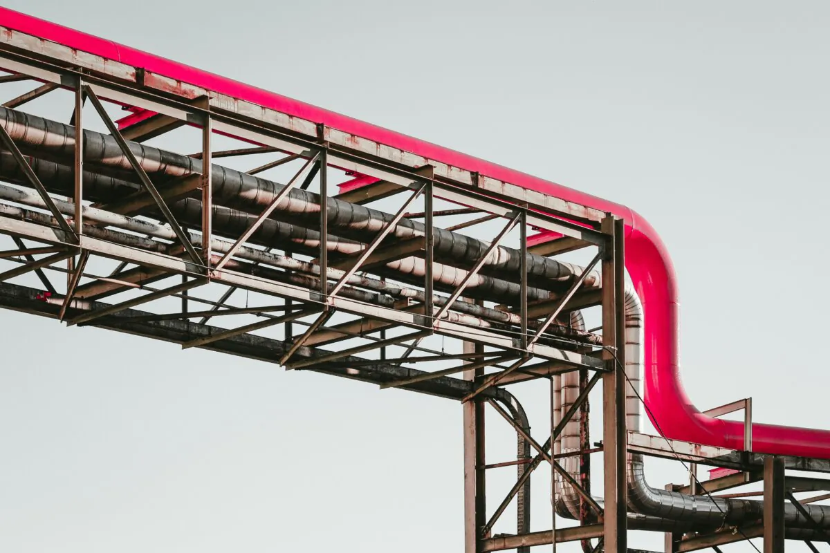(Martin Adams/Unsplash.com)