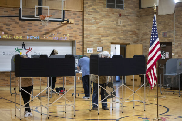 Michigan voter