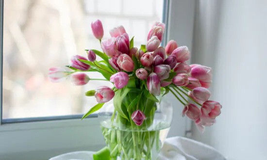 Valentine Flowers