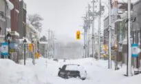 Trapped in Her Home, Cape Breton Mayor Wept When a Snowplow Arrived on Her Street