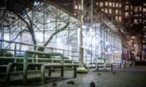 When the Sun Goes Down, a Swarm of Rats Emerges in Downtown Vancouver