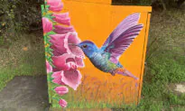 Artists Beautify Calif. City Neighborhoods
