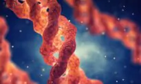 Collagen Craze: 10 Compelling Reasons to Jump on the Peptide Bandwagon
