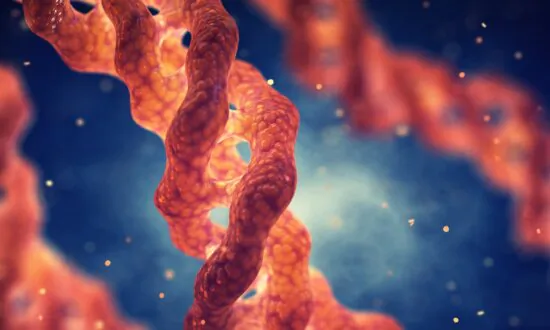 Collagen Craze: 10 Compelling Reasons to Jump on the Peptide Bandwagon
