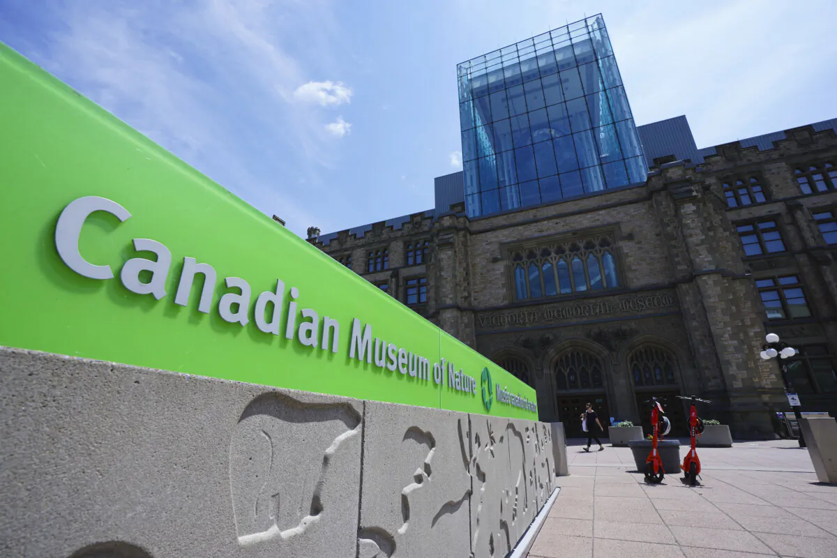 People visit the Canadian Museum of Nature in Ottawa on July 16, 2021. (THE CANADIAN PRESS/Sean Kilpatrick)