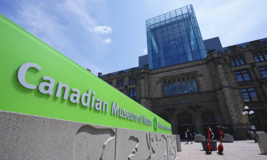 Climate Activists Vandalize Replica Dinosaur at Museum of Nature in Ottawa