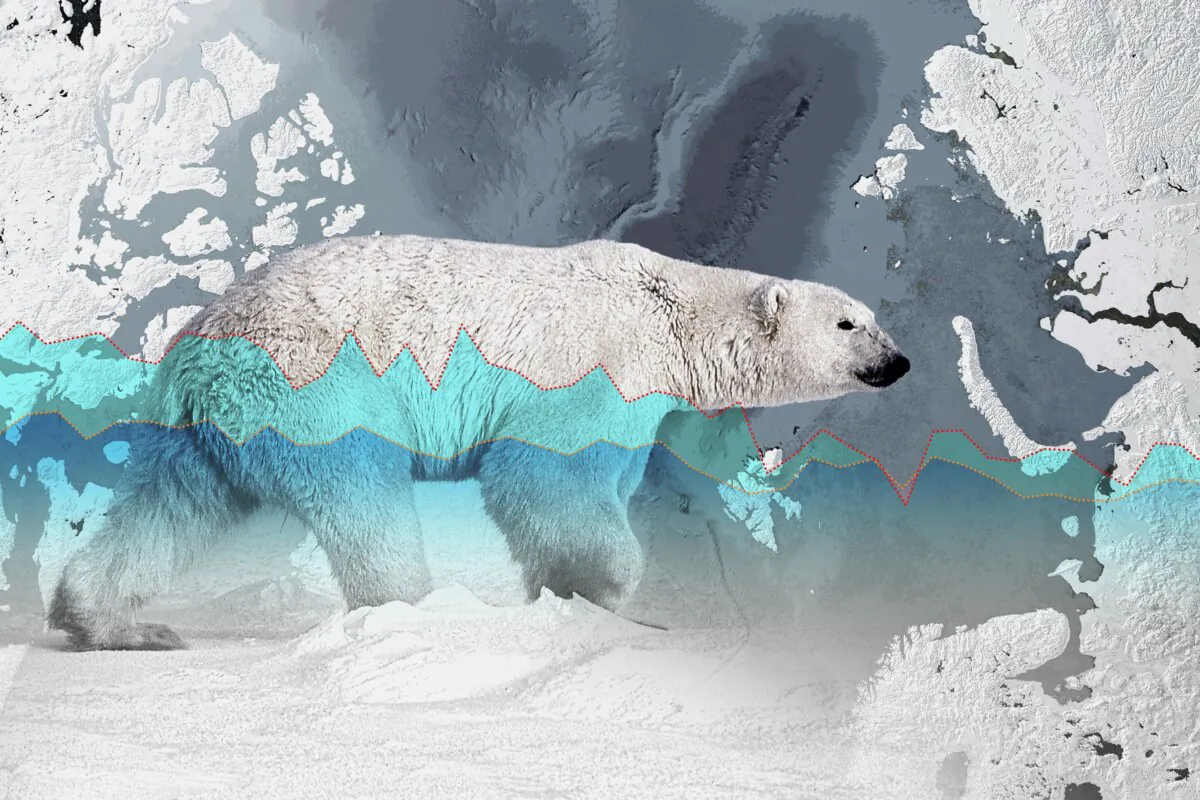 (Illustration by The Epoch Times, Shutterstock, Getty Images)