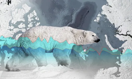 The UN Has Long Predicted an Ice-Free Arctic—A New Study Is Challenging That