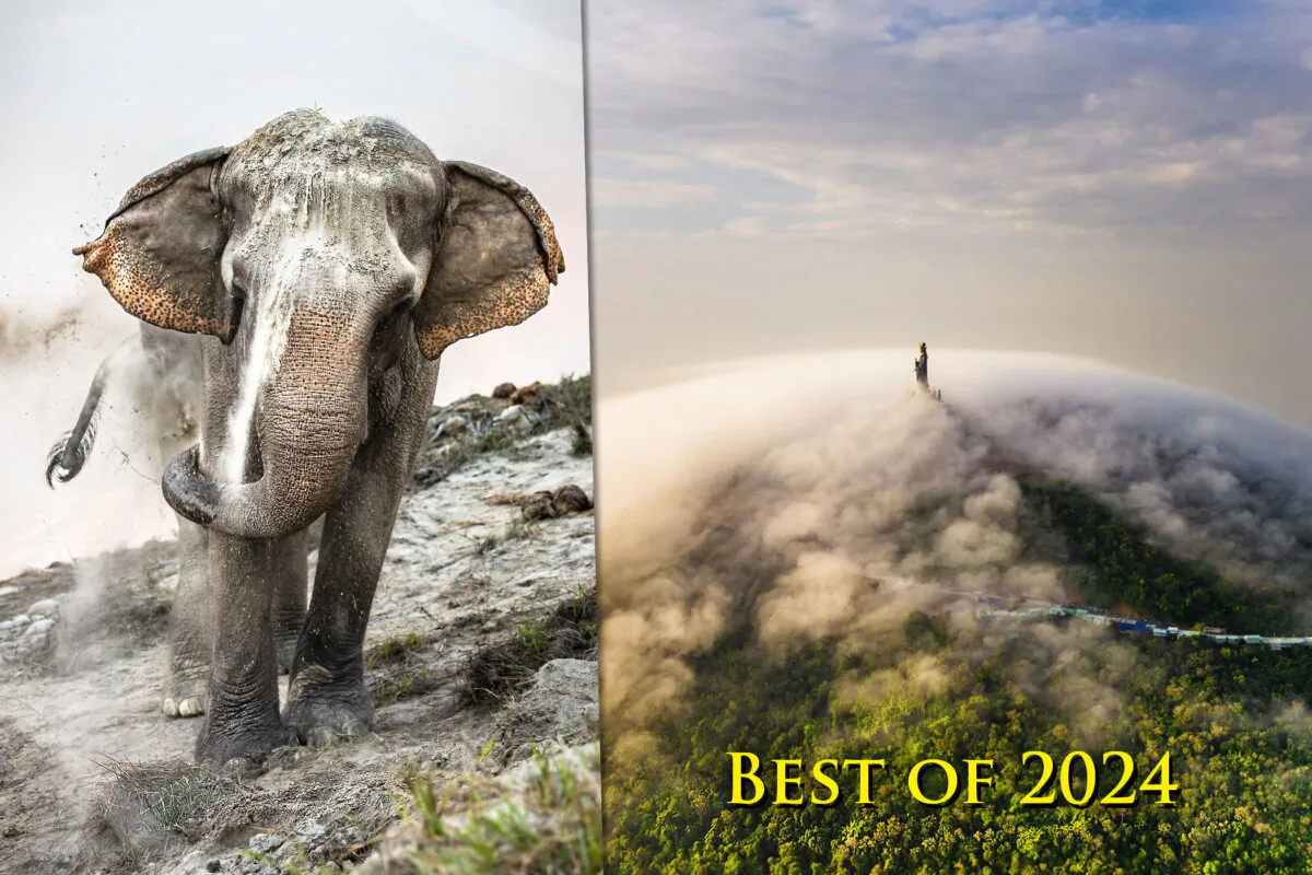 Left: (Courtesy of Ju Shen Lee, Singapore, Winner, National Awards, Sony World Photography Awards 2024); Right: (Courtesy of Tran Tuan Viet, Vietnam, Winner, National Awards, Sony World Photography Awards 2024)