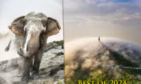 Best Photos of 2024: Sony World Photography Awards Releases Winners From 54 Countries—Here They Are