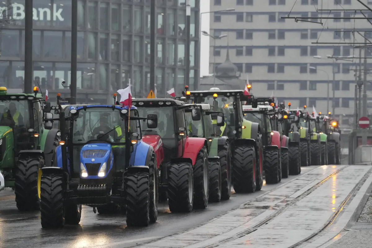 Farmers driving in a heavy-duty tractor into the western city of Poznan as part of a nationwide farmer protest against European Union's agrarian policy and imports of cheap Ukraine produce, in Poznan, Poland, on Feb. 9, 2024. (Czarek Sokolowski /AP Photo)