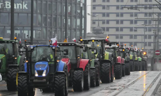 Farmers in Eastern, Southern Europe Protest Against EU Agricultural and Climate Policies