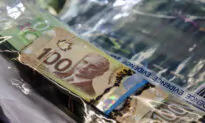 MPs Want Details on Financial Crime-Busting Program Ottawa Promised Years Ago