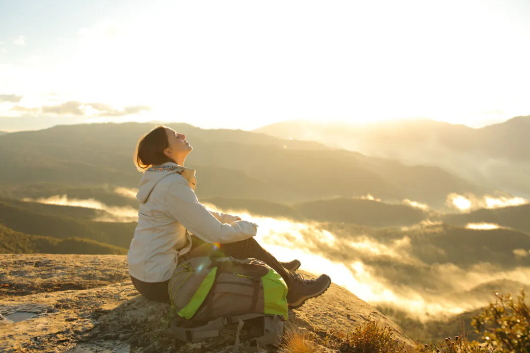 (Antonio Guillem/Shutterstock)