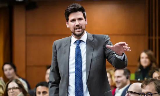 Minister Was Warned Lifting International Student Work Limit Could Undermine Program