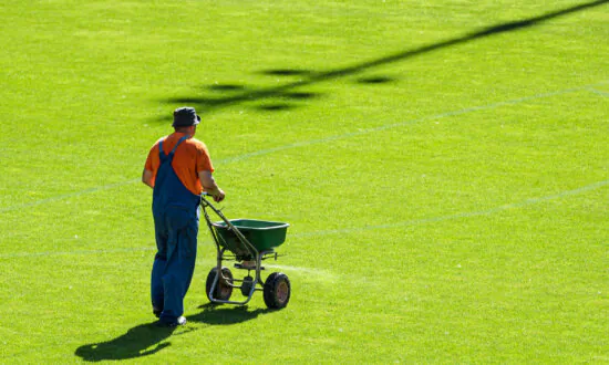 Excessive Phosphorus in Our Environment: Impacts on Human Health
