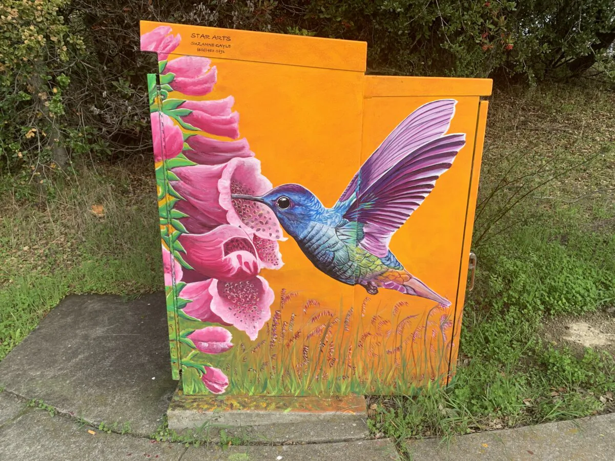 A painting of a hummingbird by Suzanne Gayle on a public utility box in Hayward, Calif., on Jan. 28, 2024. (Helen Billings/The Epoch Times)