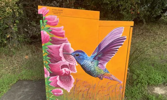 Artist Beautifies Bay Area Cities by Painting Art on Public Utility Boxes
