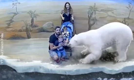 Illusion 3D Art Museum Kuala Lumpur – 01 – Air Land Sea