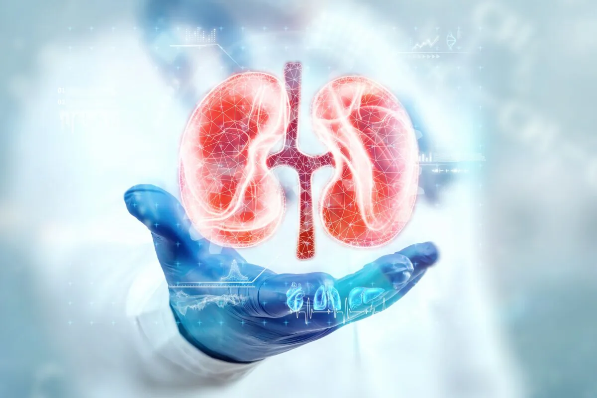 (Marko Aliaksandr/Shutterstock)